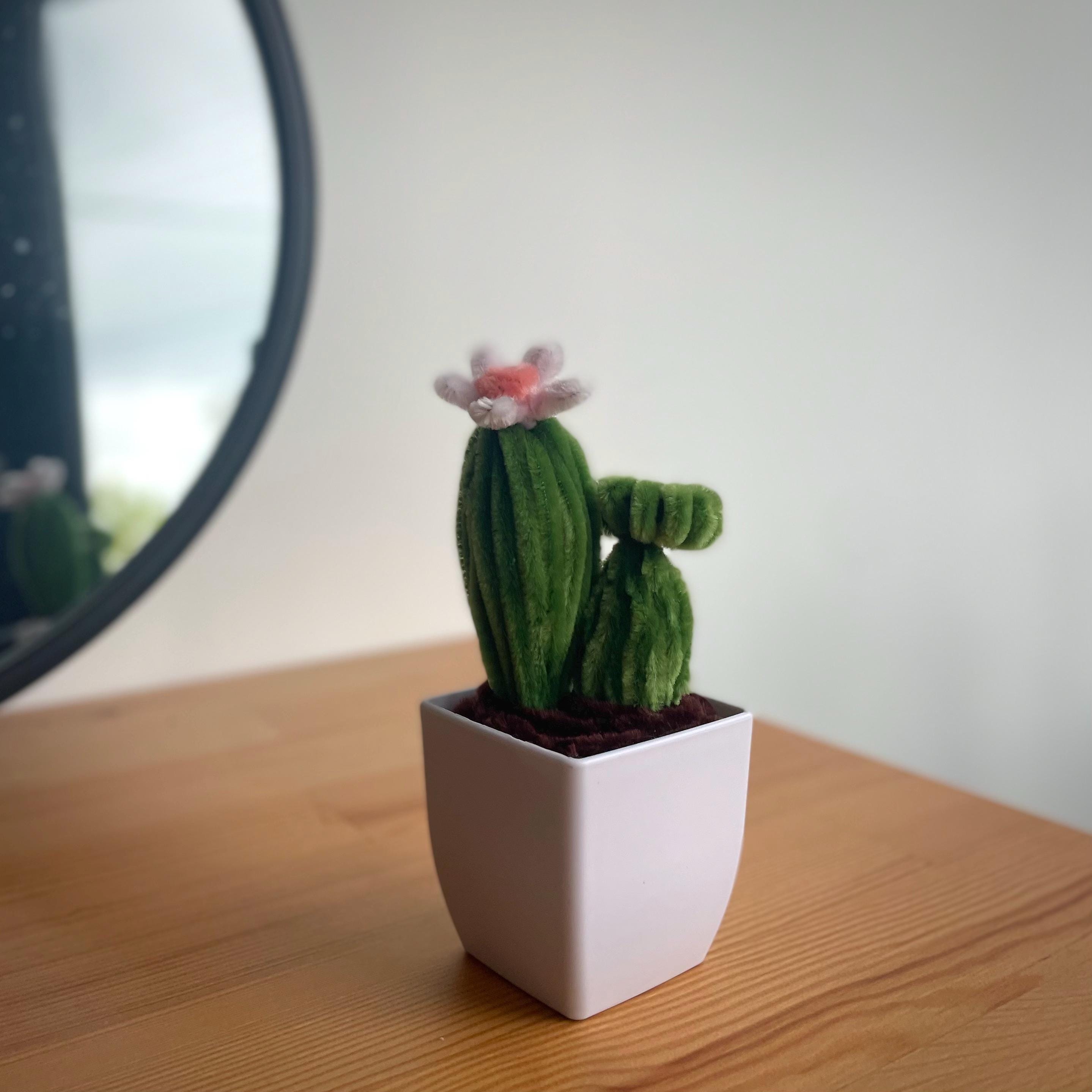 5PC Faux Cactus Succulent Artificiel Succulent Faux Cactus Plantes Avec