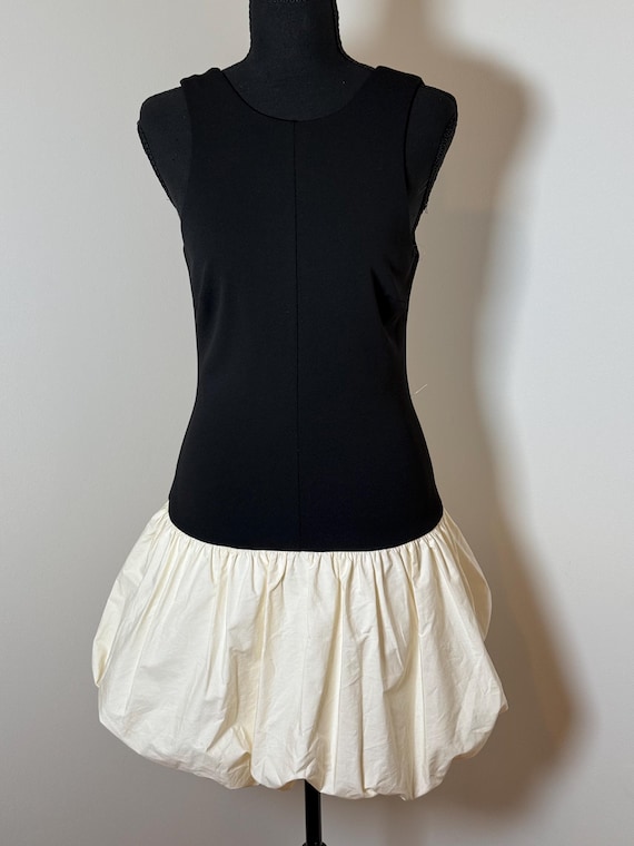 NWT bubble skirt dress