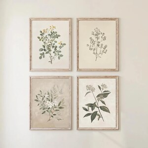 May include: Four framed botanical prints. Each print features a different illustration of plants and flowers in shades of green, white, and yellow. The frames are a light brown color, and the prints are displayed against a white wall.