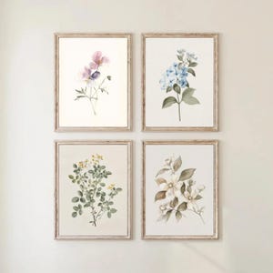 May include: Four framed botanical prints. Each print features a watercolor illustration of different flowers in shades of pink, blue, yellow, and white. The frames are made of light-colored wood, adding a rustic touch to the artwork.