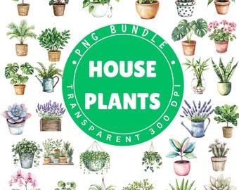 Zimmerpflanze PNG Clipart Bundle: 30 Aquarell Zimmerpflanzen, 300 DPI Transparent PNG