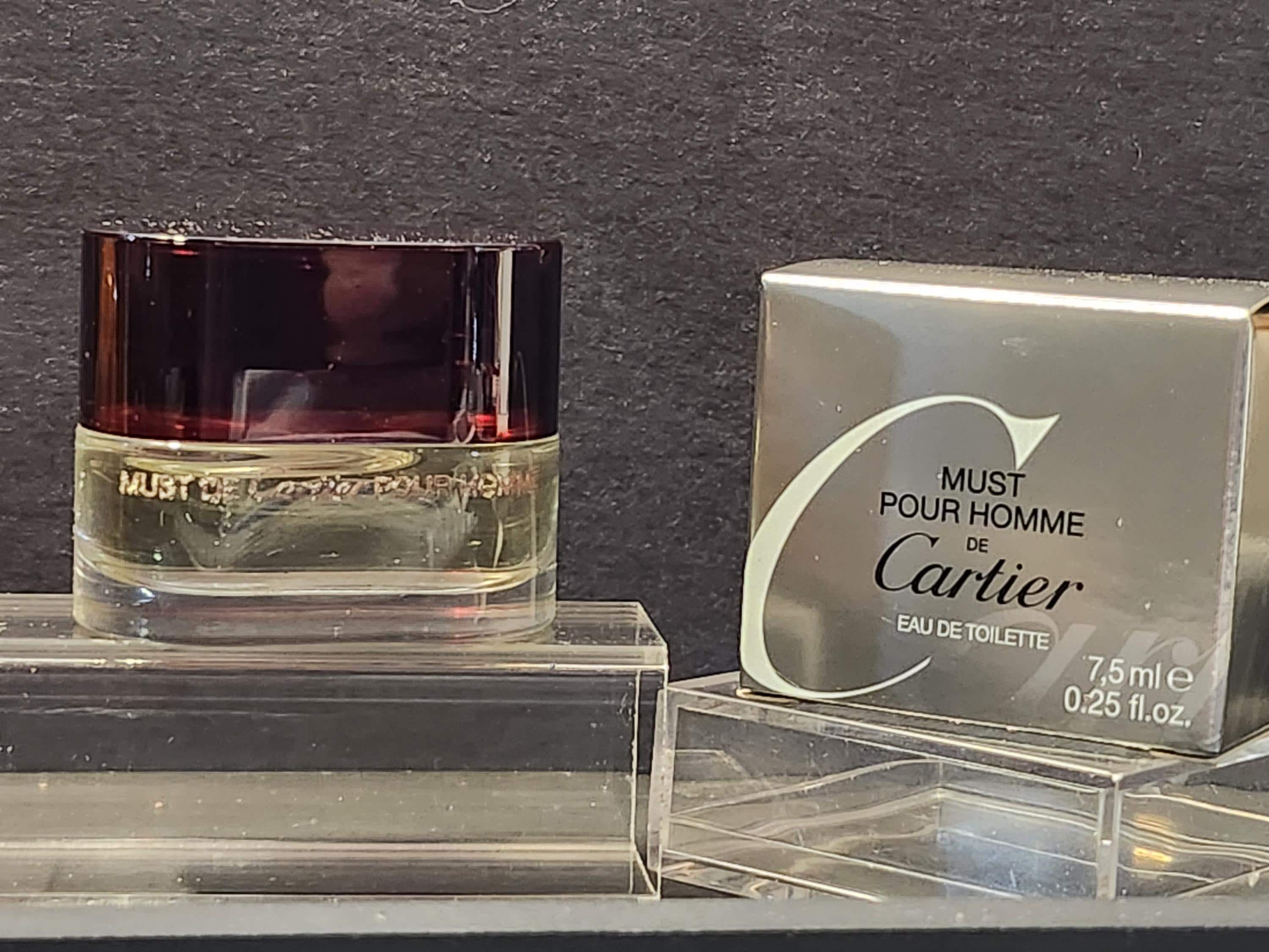 Cartier Must Pour Homme - Etsy