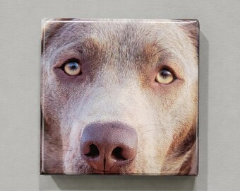 Custom Photo Magnet - Glossy Finish, Metal backing, Wedding & Party Favors