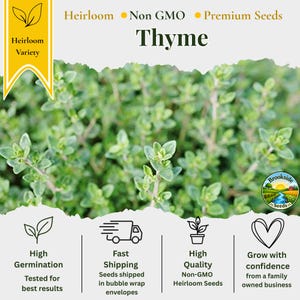 May include: A packet of heirloom thyme seeds featuring a photograph of green thyme plants. The text reads Heirloom, Non GMO, Premium Seeds, Thyme, High Germination, Fast Shipping, High Quality, and Grow with confidence from a family owned business.