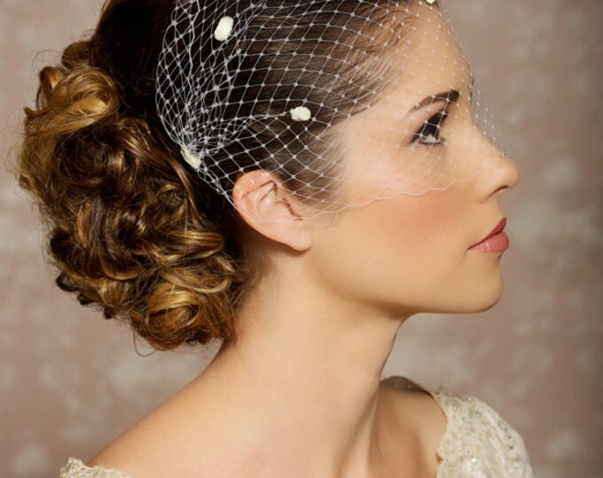 Ivory Dotted Veil Birdcage Veil Chenille Polka Dots Bandeau Etsy