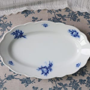 Hutschenreuther dresden - Etsy 日本