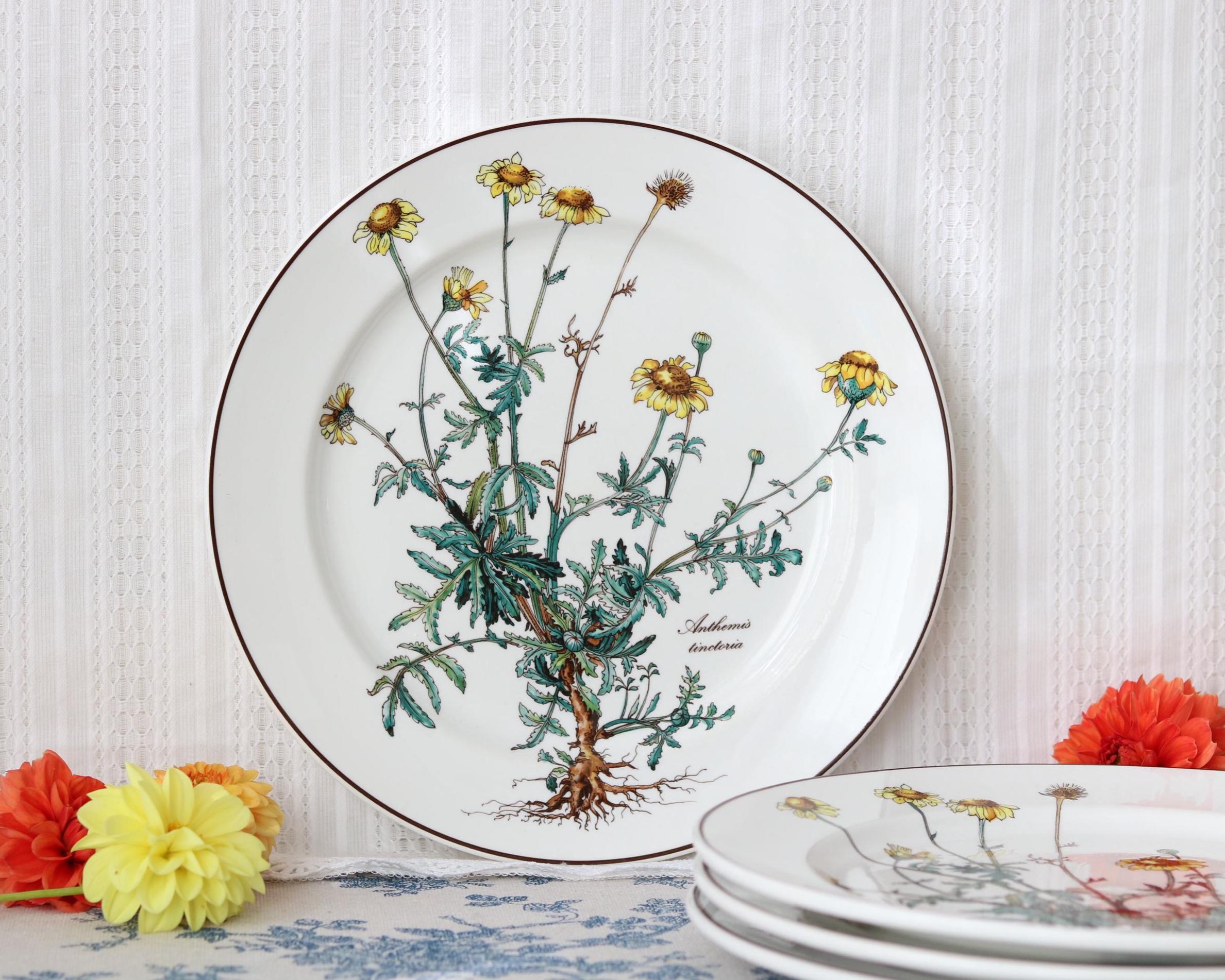 Villeroy and Boch Botanica - Etsy