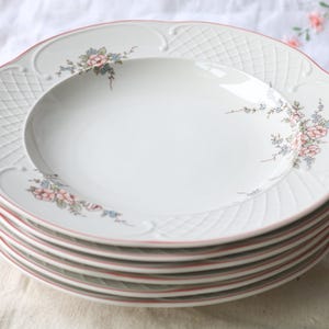 May include: Stack of white porcelain soup bowls with a delicate floral design in pink and blue. Each bowl has a red rim and a textured, lattice-like pattern on the rim. A classic, elegant tableware set.