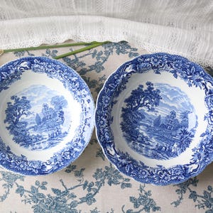 Può includere: Due ciotole rotonde in ceramica con un motivo blu e bianco. Il centro di ogni ciotola raffigura un paesaggio dettagliato con alberi ed edifici, mentre i bordi smerlati sono decorati con un denso motivo floreale.