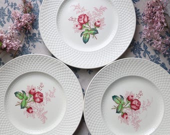 Set of 3 Spode Lady Anne Dinner Plates 26.5 cm (10.4 in) | English Romantic Transferware | 1932 to 1950s | Crackle Glaze