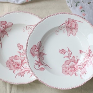 May include: Two white ceramic soup plates featuring a scalloped edge and a delicate pink floral pattern of poppies. The rim of each plate is decorated with a thin, repeating pink geometric border, while the center displays detailed poppy blossoms.