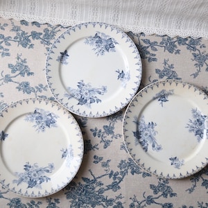 Mozart sarreguemines - Etsy 日本