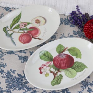 Puede incluir: Dos platos ovalados de cerámica con base blanca. Un plato presenta una ilustración botánica de melocotones con hojas verdes y flores rosas. El otro plato muestra una ilustración botánica de una manzana roja con hojas verdes y flores blancas.