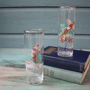 Mid-Century Modern West Virginia Bird Glasses, Vintage Bird Glass, Vintage Tumbler, Barware, Vintage Barware, Vintage Glassware