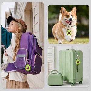 Könnte beinhalten: Ein kleiner Anhänger in Avocadoform mit grünem Rand, hellgrüner Mitte und dunkelbraunem Kern. Dieser Artikel ist an einem violetten Rucksack, einem Hundehalsband an einem Corgi und einem hellgrünen Reisekoffer zur Identifizierung befestigt.