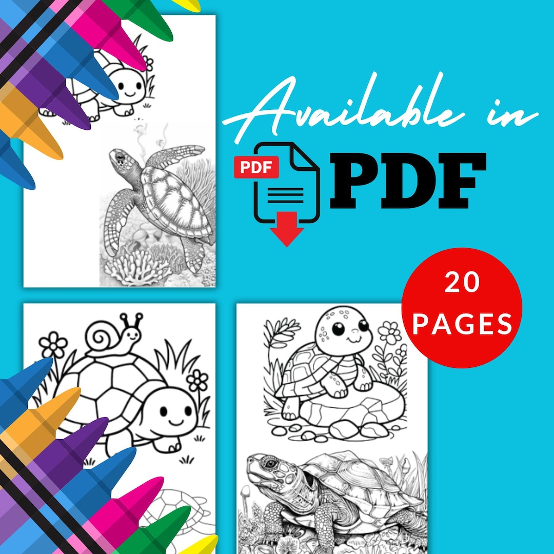 Turtle Coloring Pages Printable PDF Instant Download - Etsy