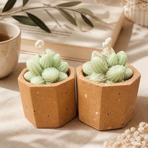 Pode incluir: Duas velas em forma de suculentas em vasos hexagonais de concreto marrom. As velas são verde claro com uma superfície texturizada e um pequeno detalhe branco. O fundo inclui um livro, uma xícara de chá e vegetação.