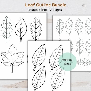 Puede incluir: Una colección de diseños de contornos de hojas imprimibles en blanco y negro. La imagen muestra varias formas de hojas, incluyendo roble, arce y contornos de hojas simples. El texto en la parte superior dice "Leaf Outline Bundle" y "Printable | PDF | 21 Pages".