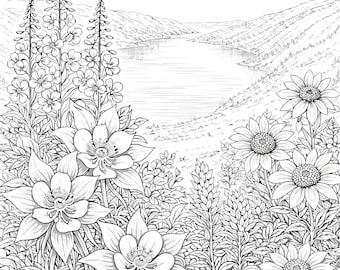 Summer Coloring Bundle for Mindfulness, Gratitude and Stress Relief