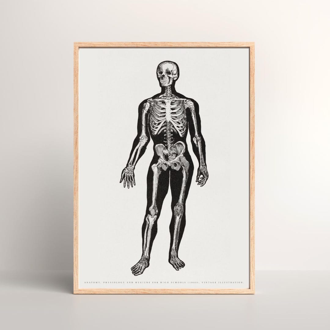 Vintage Human Skeleton Anatomy Poster – Black and White Medical ...