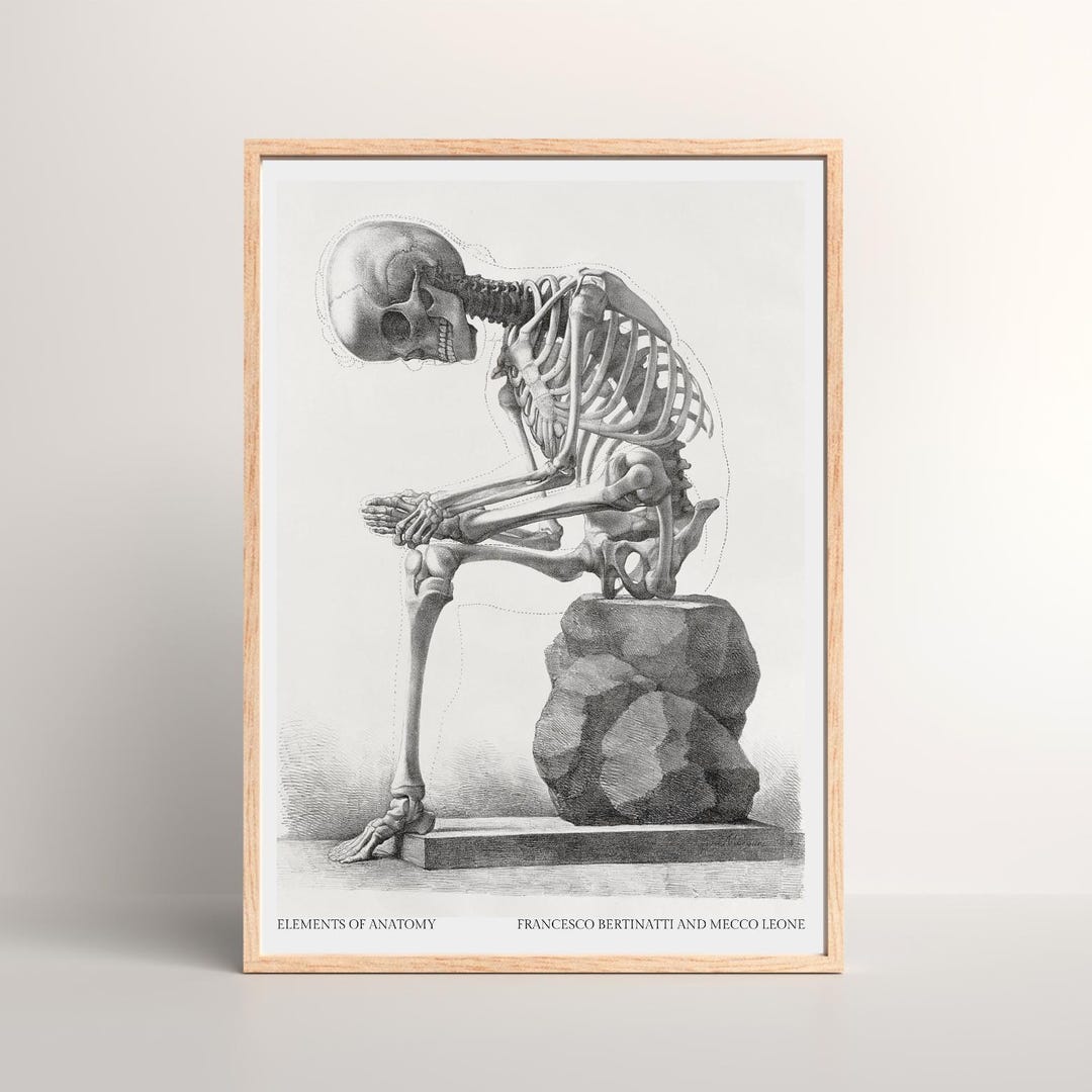 Vintage Anatomy Skeleton Poster – Antique Medical Illustration Wall Art ...