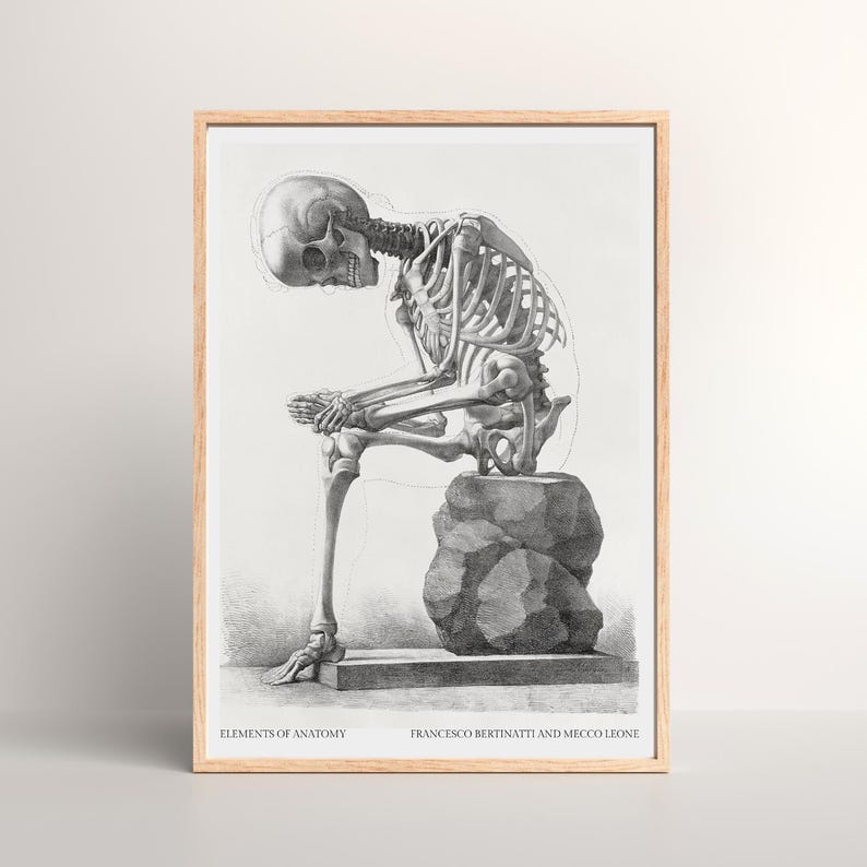 Vintage Anatomy Skeleton Poster – Antique Medical Illustration Wall Art ...
