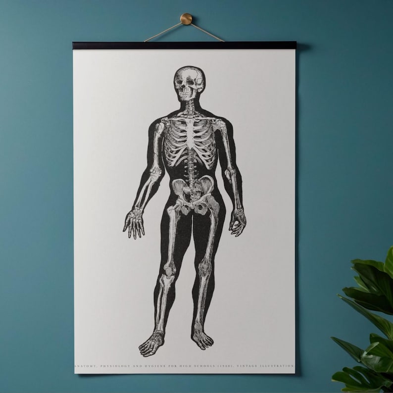 Vintage Human Skeleton Anatomy Poster – Black and White Medical ...