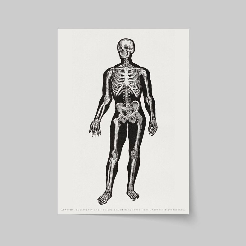 Vintage Human Skeleton Anatomy Poster – Black and White Medical ...