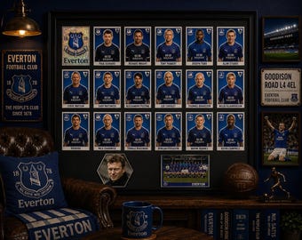 Everton Framed Stickers Merlin 2003 Team Set Collection Display Vintage Retro
