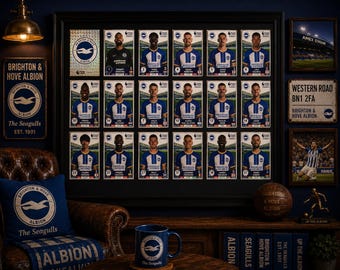 Brighton & Hove Albion Framed Stickers Panini 2023 Team Set Collection Display