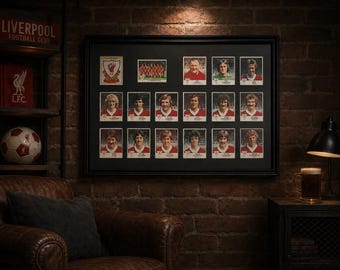 Liverpool Framed Stickers Panini 1980 Team Set Collection Display Vintage Retro