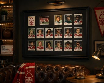 Nottingham Forest Framed Stickers Panini 1980 Team Set Collection Display Retro
