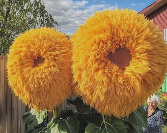 50 PCS Yellow Giant Teddy Bear Sunflower Seeds – Enchanting & Bold Blooms for Your Garden
