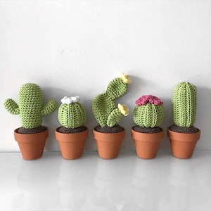 May include: Five handmade crochet cactus plants in terracotta pots. The cacti are various shapes and sizes, with green bodies and brown bases. Some have small flower accents in white, yellow, and pink. The pots are a warm orange color.