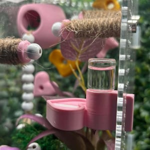 Peut inclure: Am&eacute;nagement de terrarium rose et transparent avec divers accessoires. Il comprend un abreuvoir rose en forme de c&oelig;ur, une cachette rose et un pont de corde. Le fond pr&eacute;sente des plantes artificielles et un enclos en acrylique transparent.