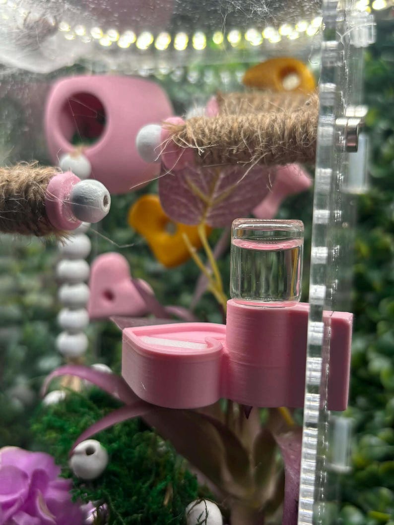 Peut inclure: Am&eacute;nagement de terrarium rose et transparent avec divers accessoires. Il comprend un abreuvoir rose en forme de c&oelig;ur, une cachette rose et un pont de corde. Le fond pr&eacute;sente des plantes artificielles et un enclos en acrylique transparent.