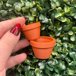 May include: Two small, terracotta-coloured flower pots. The pots are empty and have a classic, rounded shape. They are set against a backdrop of green foliage.