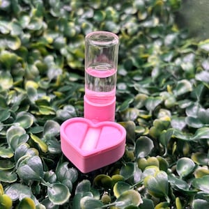 Peut inclure: Un flacon en verre transparent contenant un liquide rose, reli&eacute; &agrave; une base rose. Un r&eacute;cipient rose en forme de c&oelig;ur est plac&eacute; &agrave; proximit&eacute;. Les objets sont pr&eacute;sent&eacute;s sur un fond de feuillage vert.
