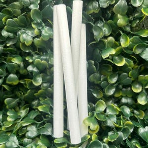 Könnte beinhalten: Vier weiße, zylindrische Filter werden vor einem Hintergrund aus grünem Laub gezeigt. Die Filter sind gleichmäßig verteilt und scheinen aus einem porösen Material zu bestehen. Der Hintergrund ist eine dichte Anordnung grüner Blätter.