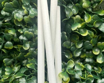 Jumping Spider Water Bowl Wicks – Multi-Pack, Replacement Inserts for Spider Enclosures