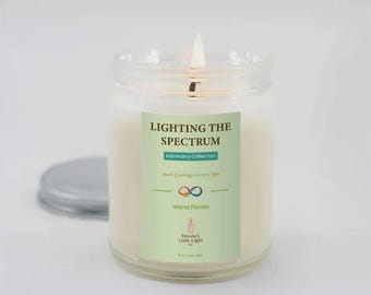 May include: A lit candle in a clear glass jar with a silver lid. The candle has a label that reads "LIGHTING THE SPECTRUM" and "Advocacy Collection". The candle is 255 g.