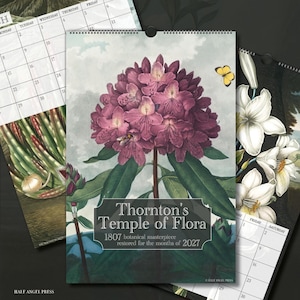 Puede incluir: Un calendario de pared con una gran ilustración de un rododendro morado y una mariposa amarilla. El texto de la portada dice: Thornton's Temple of Flora, 1807 botanical masterpiece restored for the months of 2027. El calendario incluye páginas de cuadrícula.