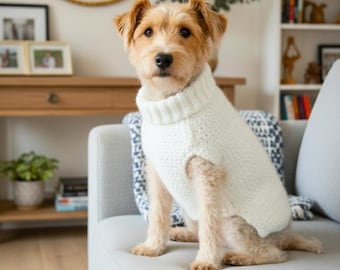 May include: A small, tan and white dog wearing a cream-colored, turtleneck sweater. The dog is sitting on a gray couch in a well-lit room. The sweater is a chunky knit, providing warmth and style.