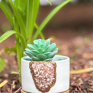 May include: A small, white ceramic planter with a decorative, gold-edged design filled with pink stones. It holds a green succulent plant. The planter sits on a round, bamboo saucer, with green foliage in the background.