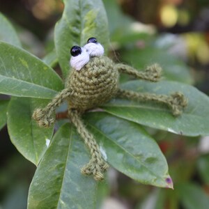 Hand Crocheted Lucky Frog Fridge Magnet Pickle