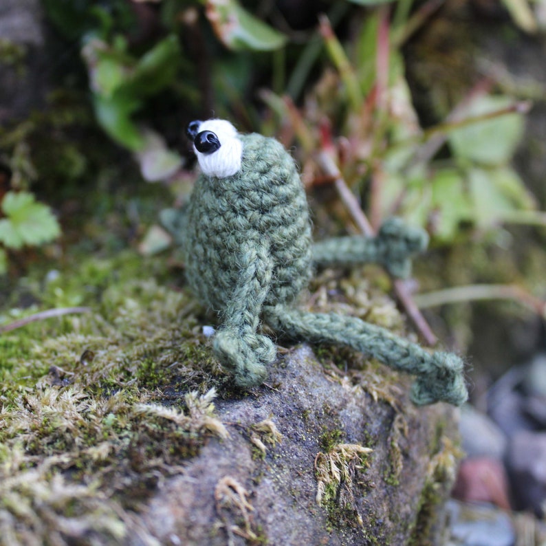 Hand Crocheted Lucky Frog Fridge Magnet image 5