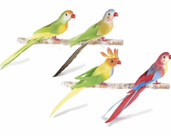 Artificial Parrots with Real Feather Tail Set of 8 Assorted