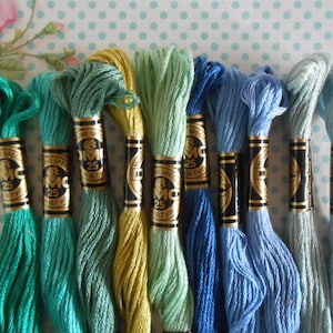 DMC Moulinè Set med 10 nystan Broderigarn Special 25
