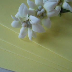 Moosgummi 3 Sheets EVA Foam Craft Fommy Solid Color 40x30 Pastel Yellow