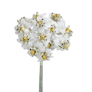 Stelle Alpine in Tessuto pz 24 Pick Decorativi Fiori Bomboniere